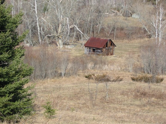 576x432 pixels (103K)